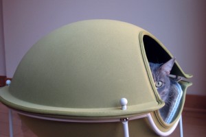 Cat in Hepper Pod Cat Bed Photo