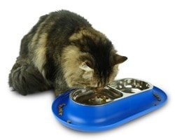 Cat eating from Hepepr NomNom Cat bowl photo