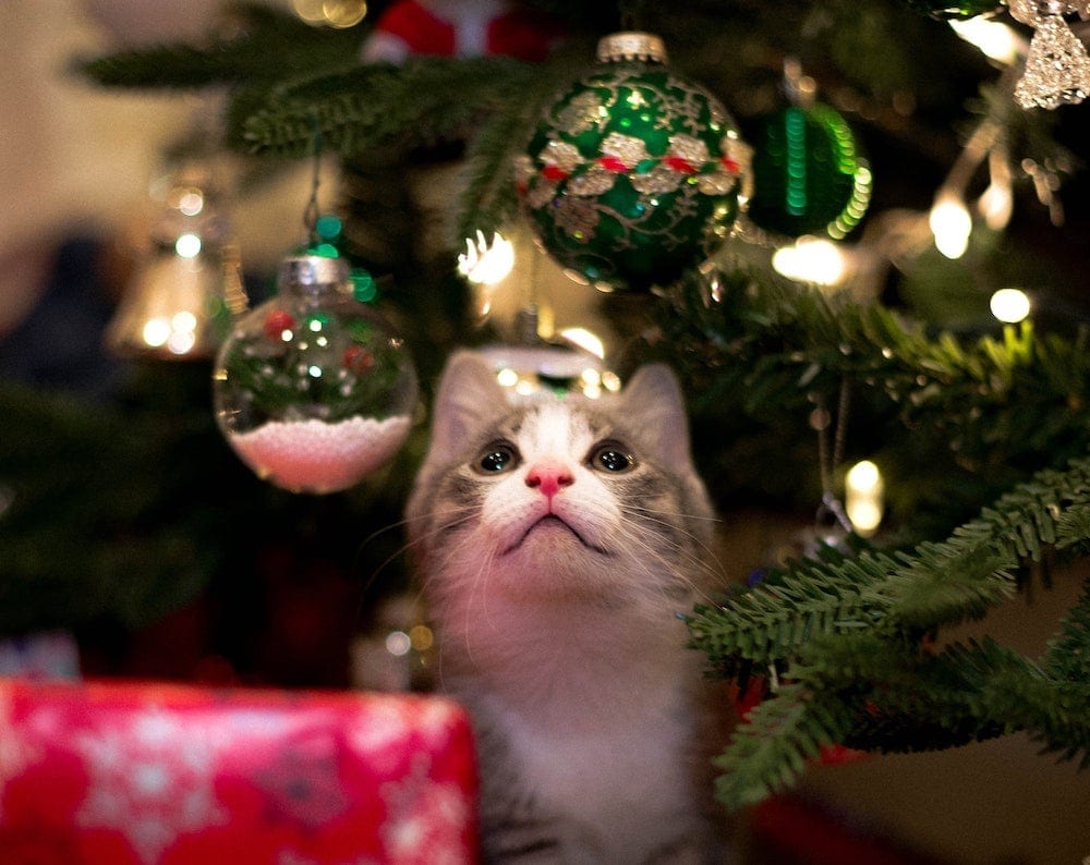 cat Christmas tree ornaments