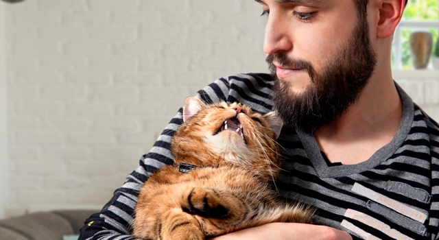 Man hugging his beautiful cat on white background