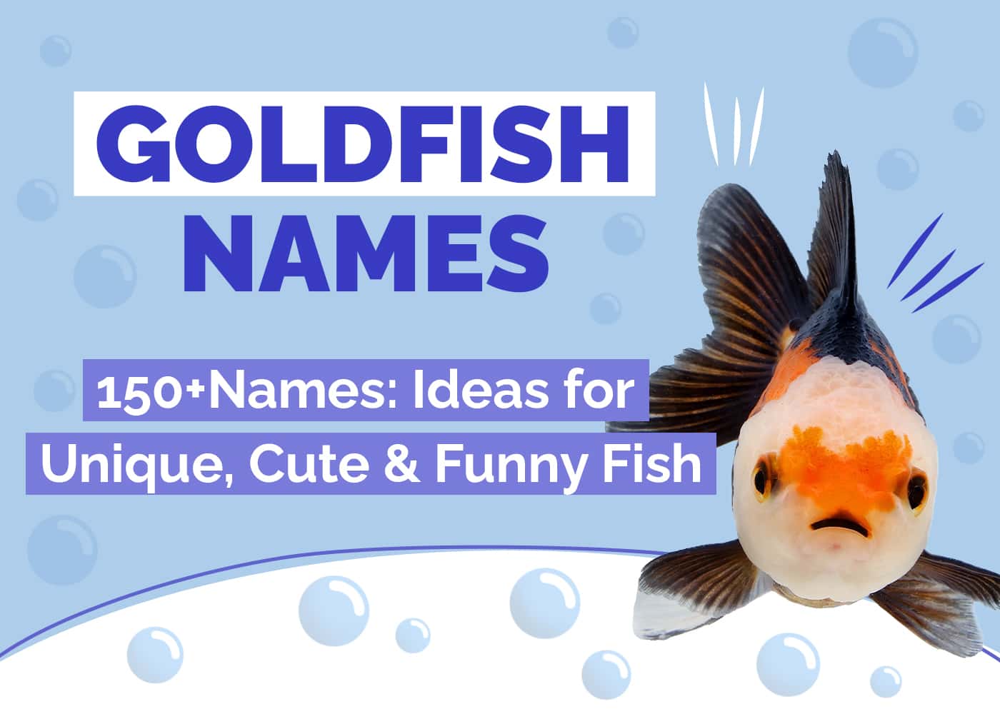 Hepper_gold fish Names Post