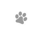 hepper single cat paw divider