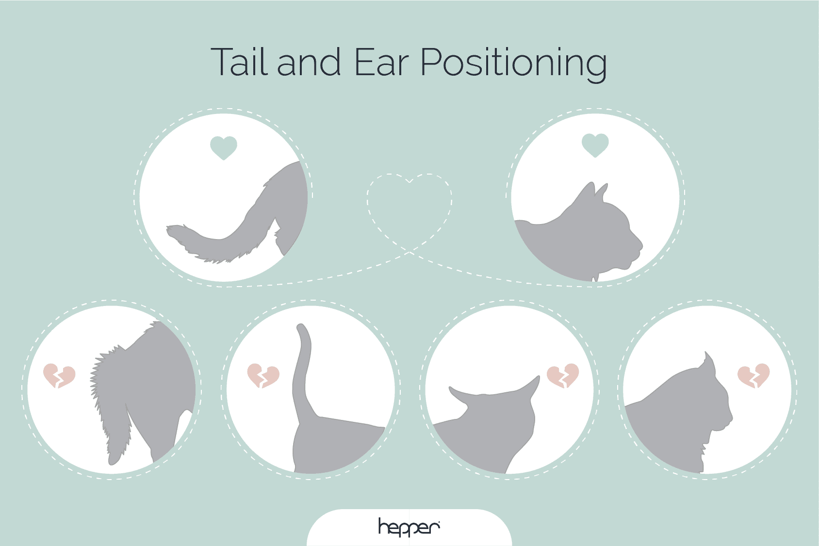 Cat Language 101: Learning Cat Noises