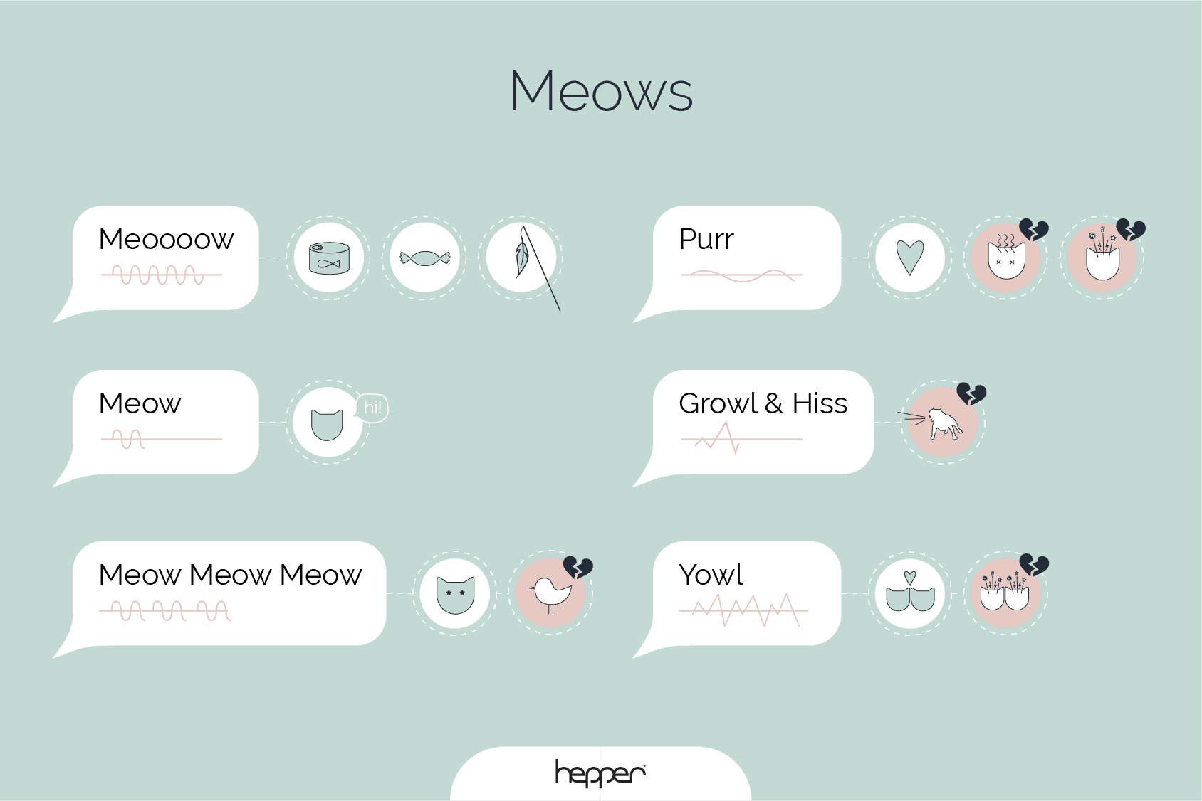 Cat Language 101: Learning Cat Noises