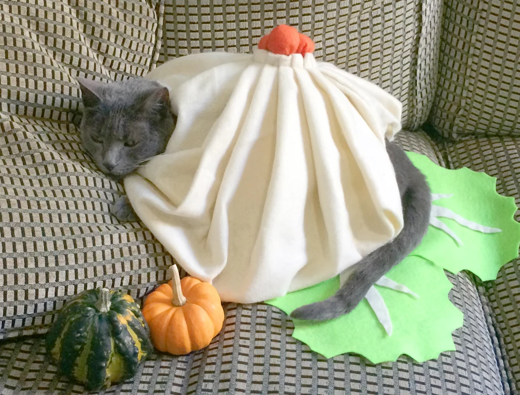 Dumpling Cat Costume