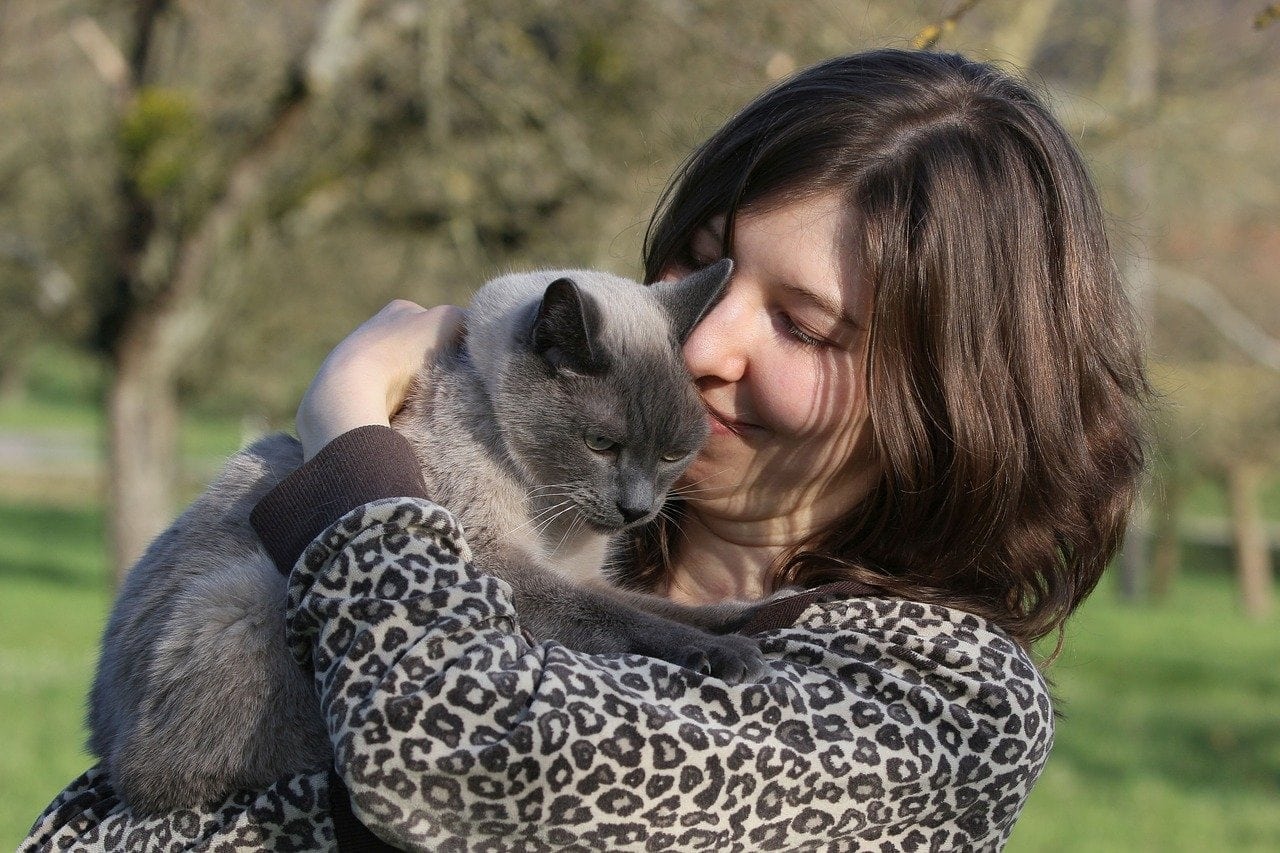 Person, die eine Katze umarmt