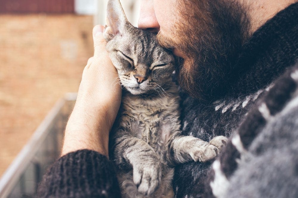 smiling cat with man