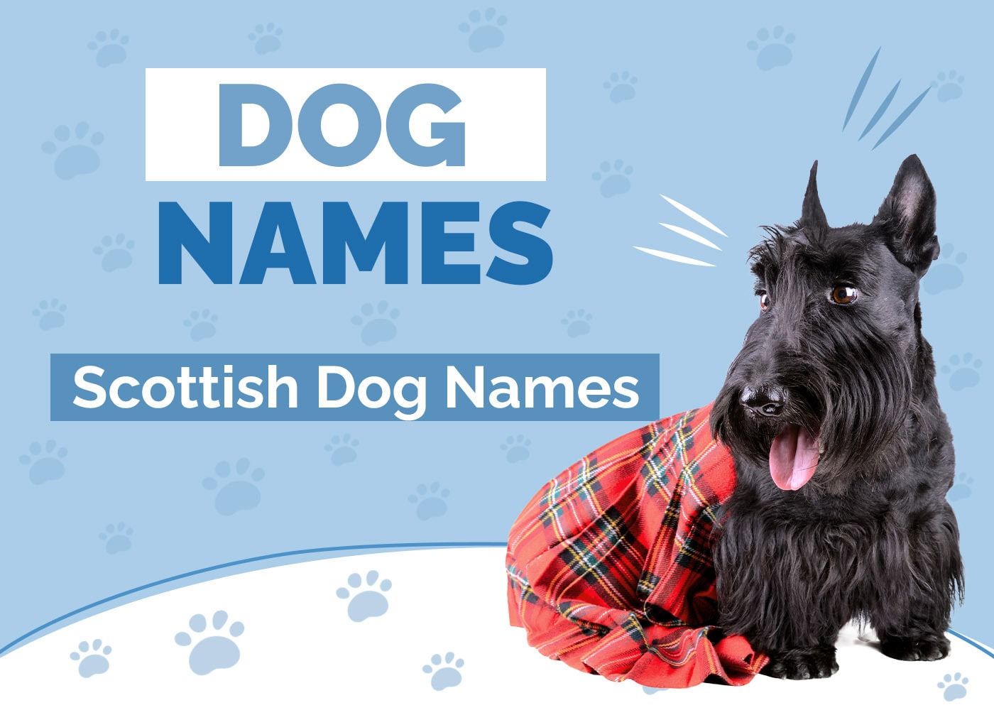 200+ Scottish Dog Names Gaelic, Unique, Cute & Fun Ideas Hepper