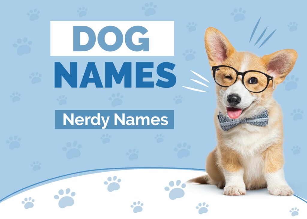 Nerdy Dog Names
