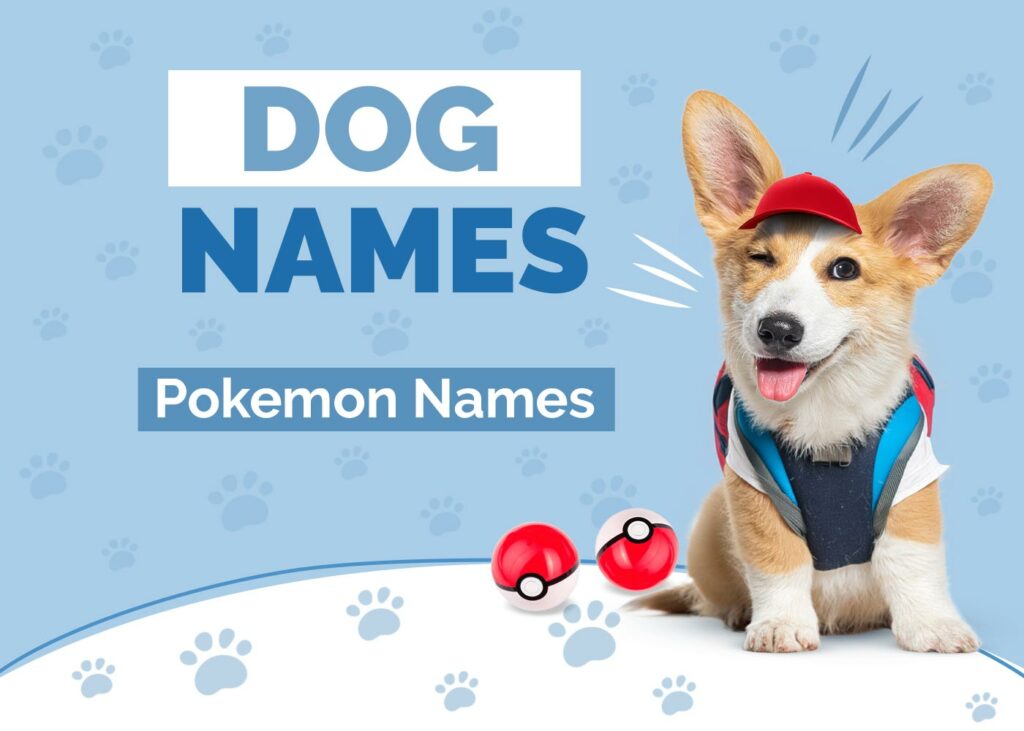 Pokémon Inspired Dog Names