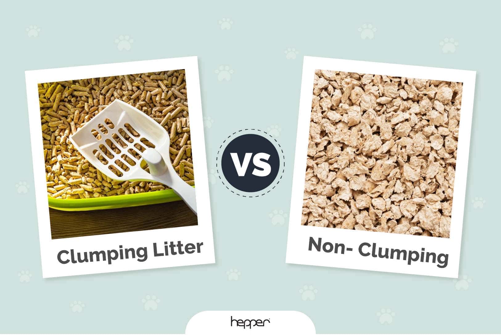 clumping litter vs non clumping header