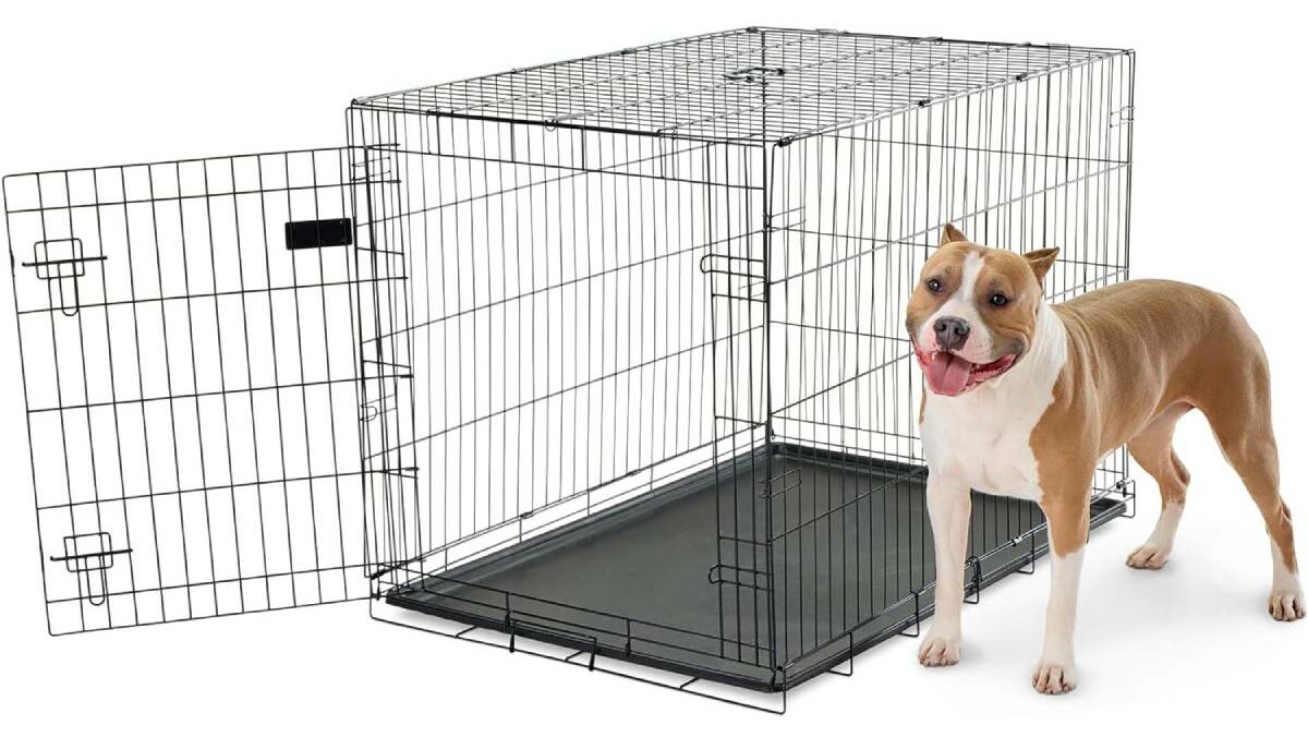 Carlson Pet Products Foldable Metal Dog Crate