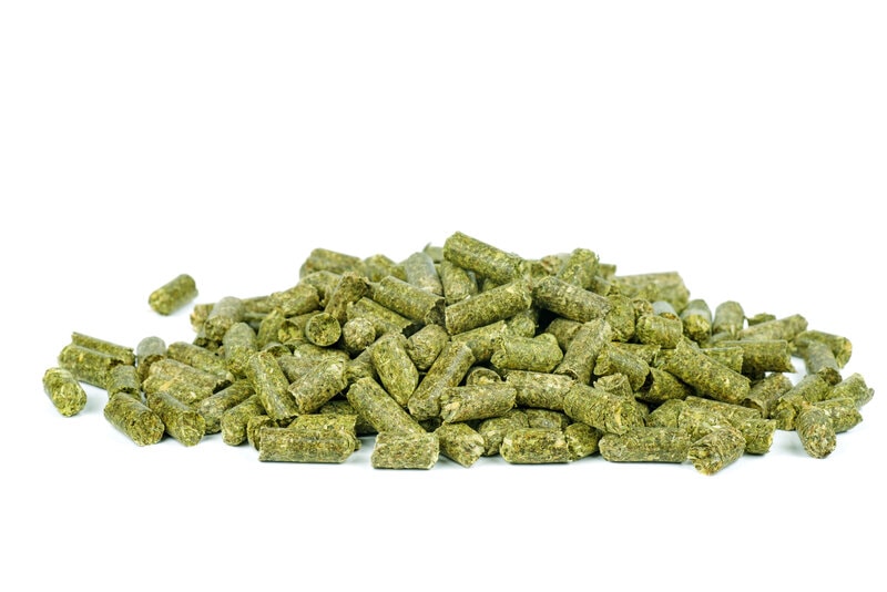 What Can I Use Instead Of Cat Litter? 10 VetApproved Alternatives Hepper