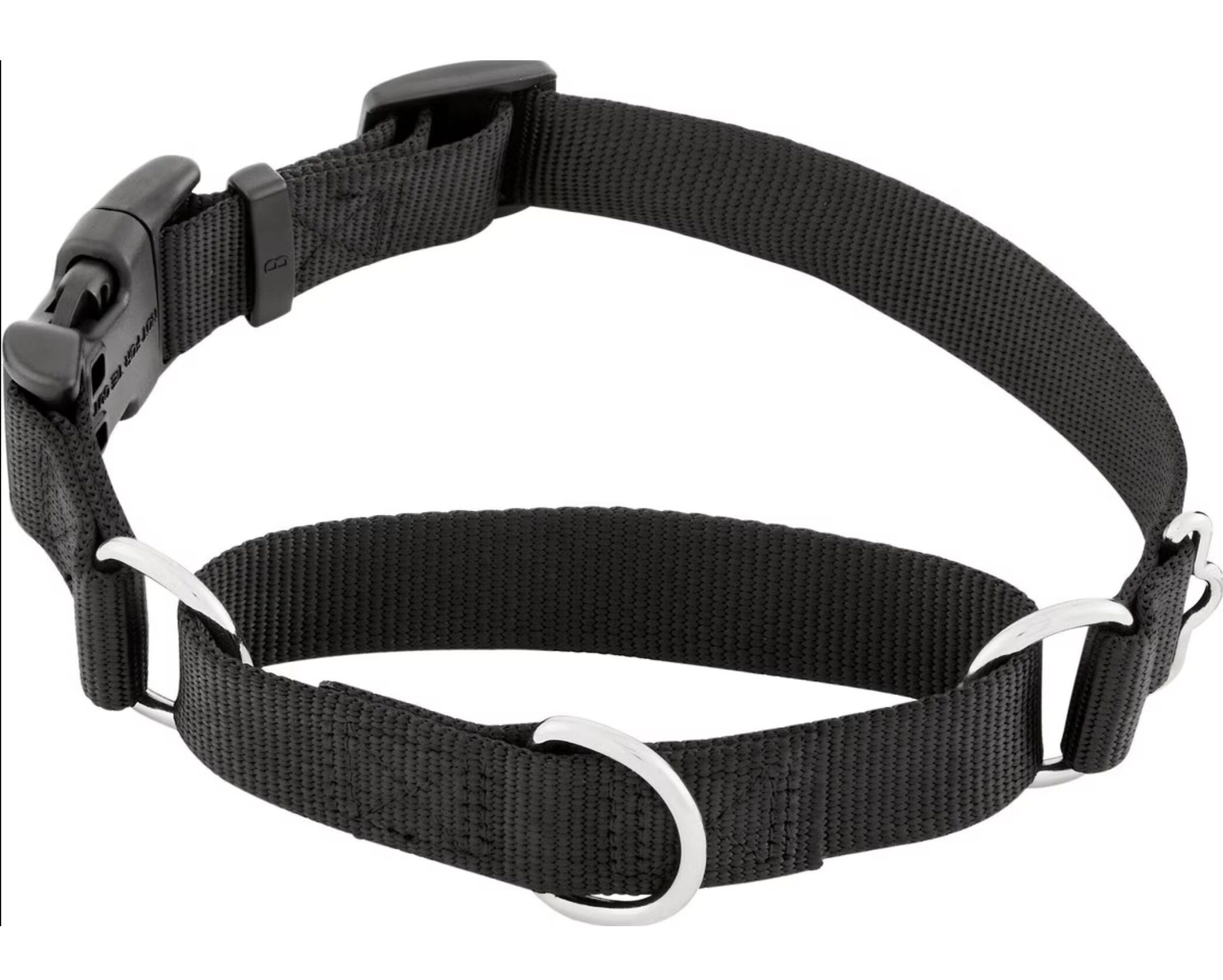 Frisco Solid Nylon Martingale Dog Collar with Buckle
