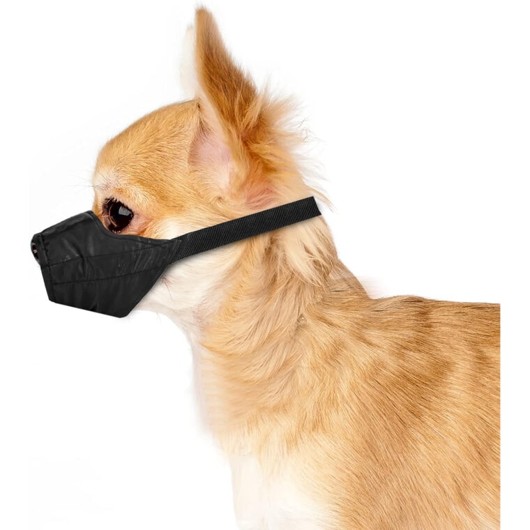 5 Best Muzzles for ShihTzus in 2024 Reviews & Top Picks Hepper