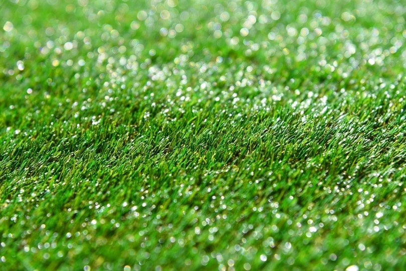 A closeup shot of artificial turf