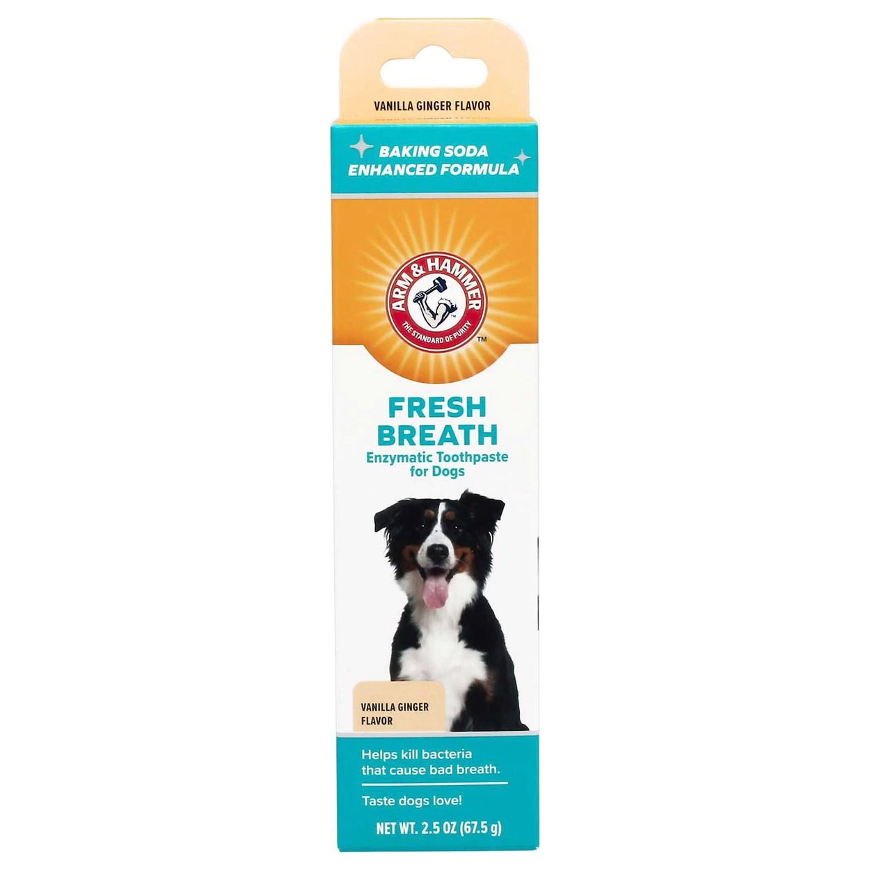 Arm & Hammer Products Fresh Breath Vanilla-Ginger Flavored Enzymatic Dog Toothpaste
