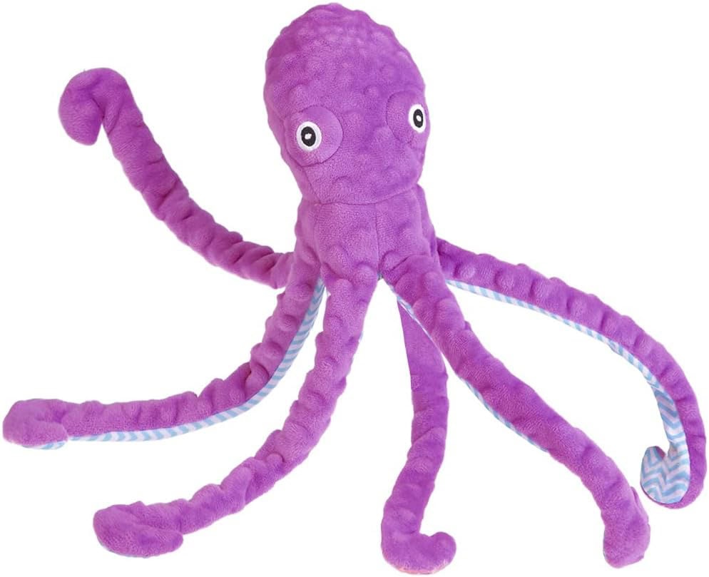 EXPAWLORER Squeaky Dog Toys