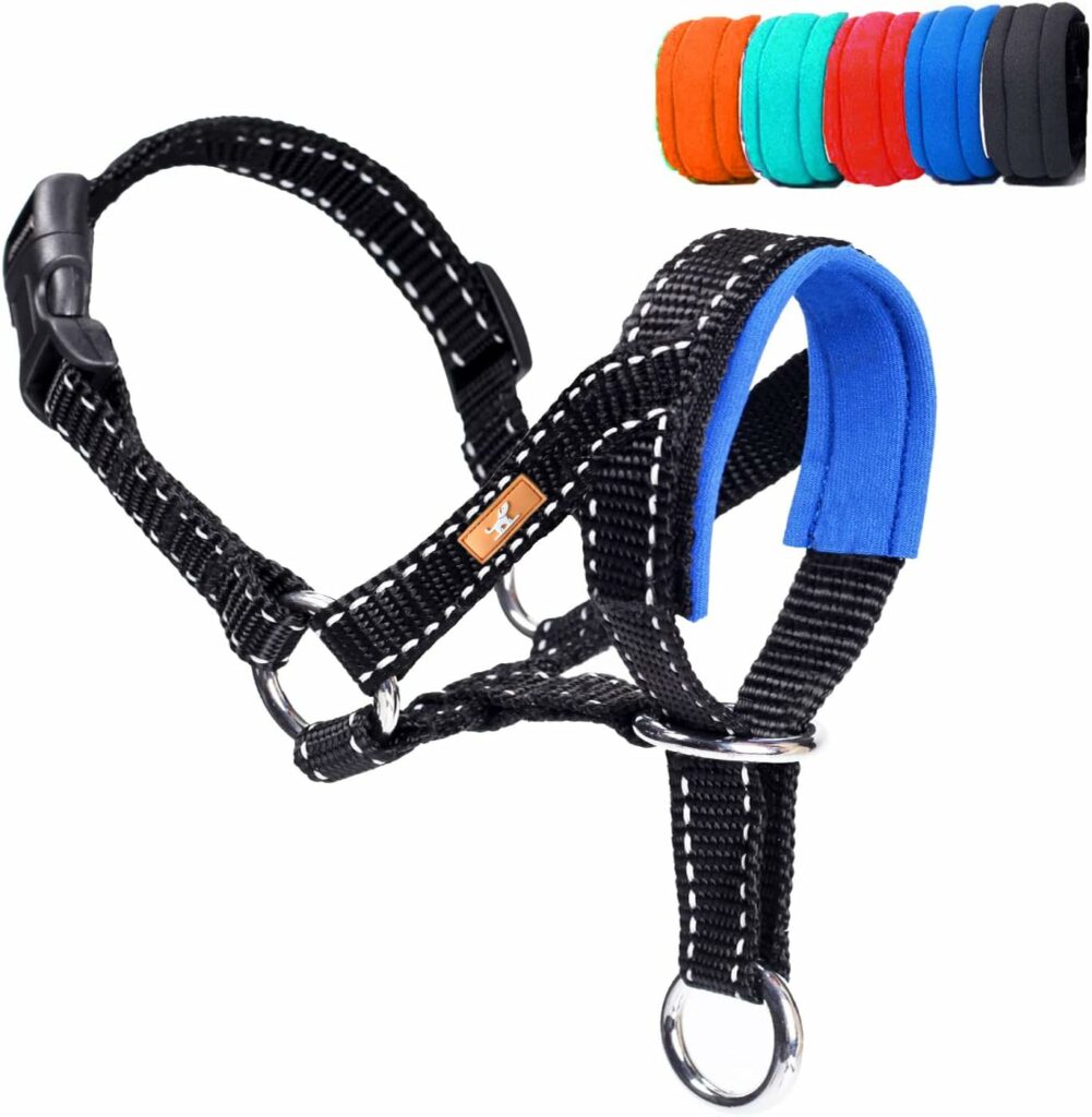 9 Best Dog Head Halters & Gentle Leaders 2024 Reviews & Top Picks Hepper