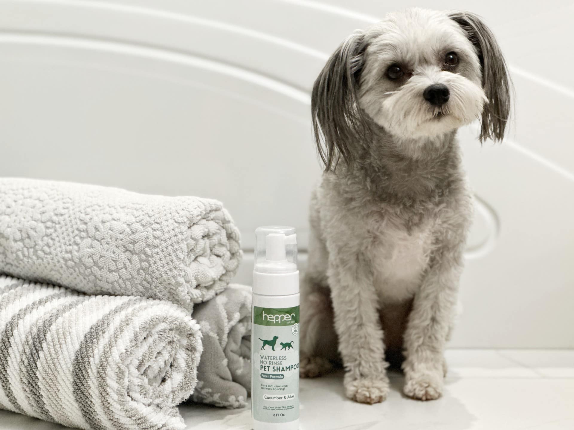 11 Best Dry Dog Shampoos of 2024 Reviews & Top Picks Hepper