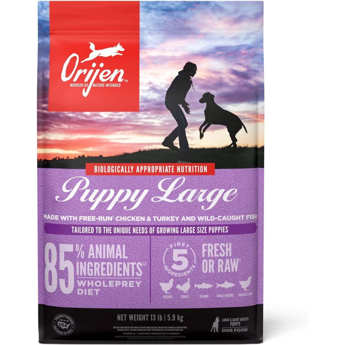 ORIJEN Puppy Large Dry Dog Food