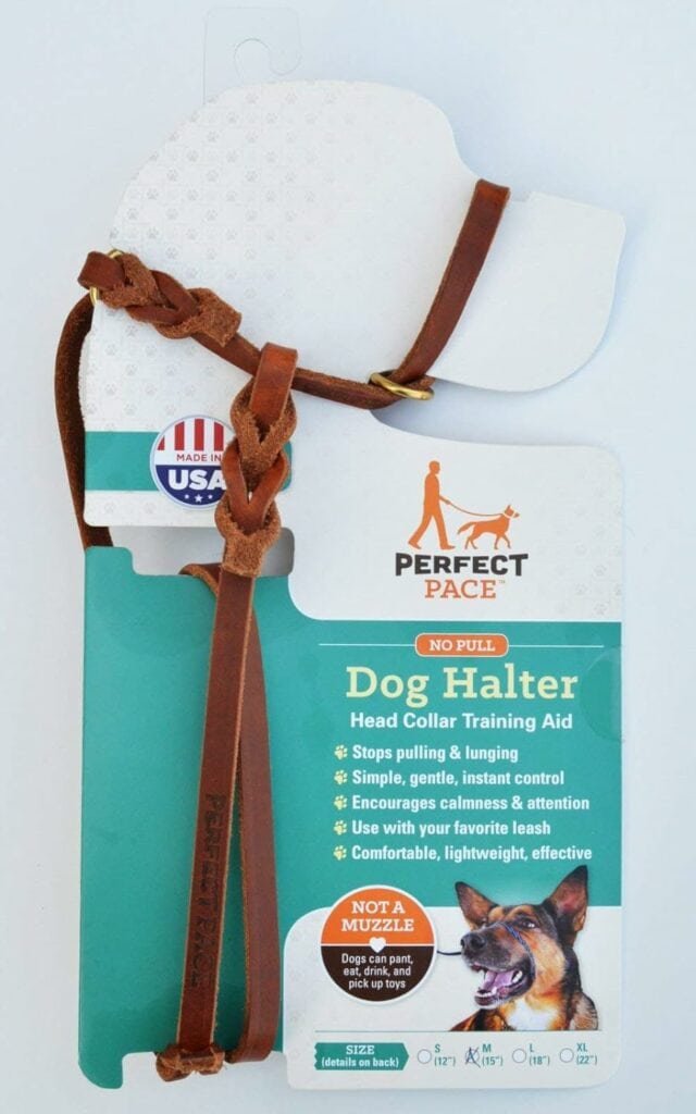 9 Best Dog Head Halters & Gentle Leaders 2024 Reviews & Top Picks Hepper