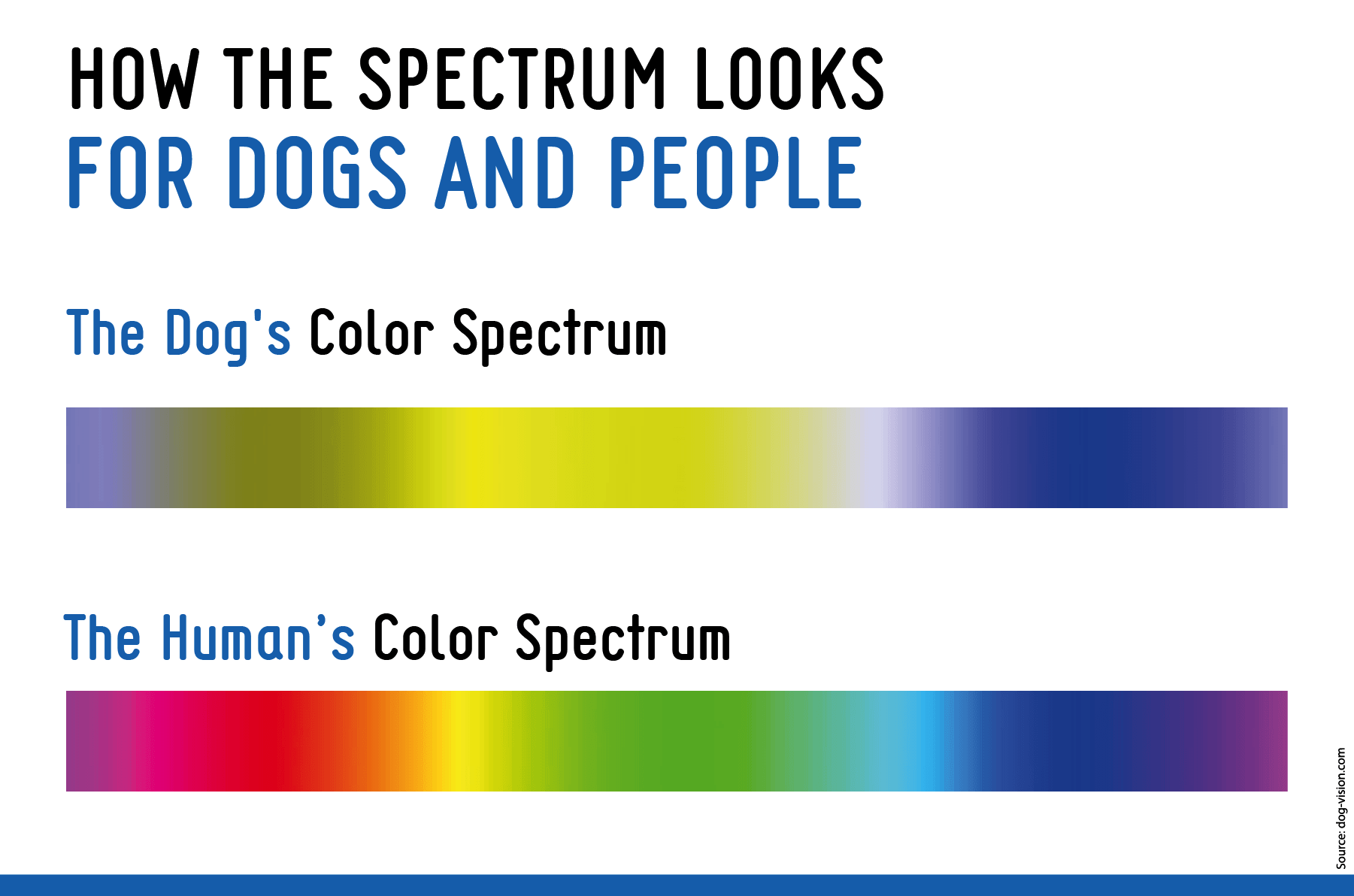 color spectrum for dogs