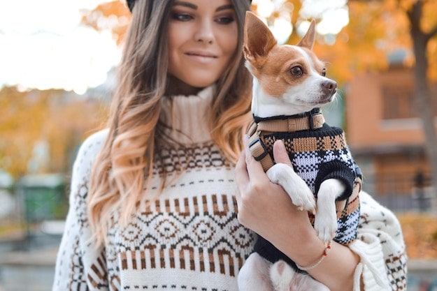 Chic Dog Sweater – DIY Projects