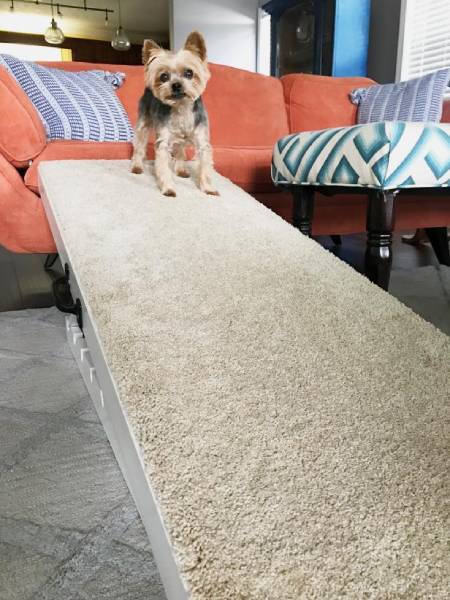 DIY Adjustable Dog Ramp