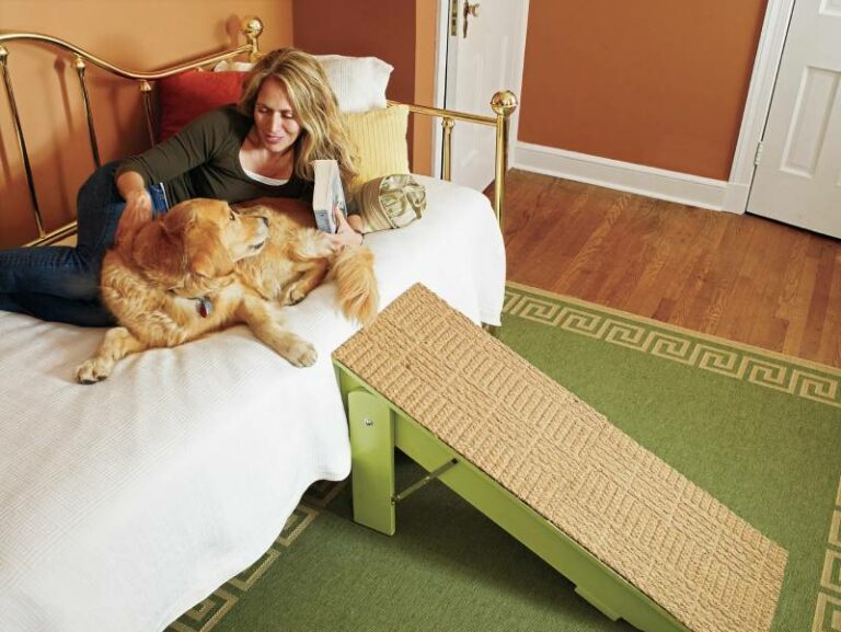 9 DIY Folding Dog Ramps You Can Build Today (With Pictures) Hepper