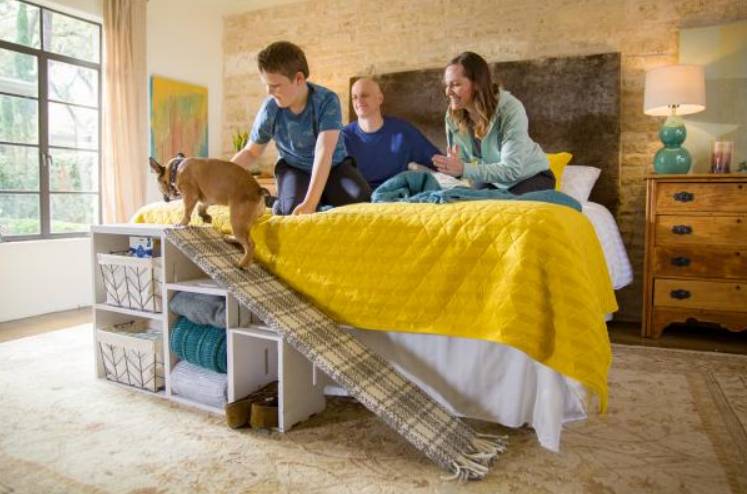 DIY Doggie Bed Ramp With Smart Storage