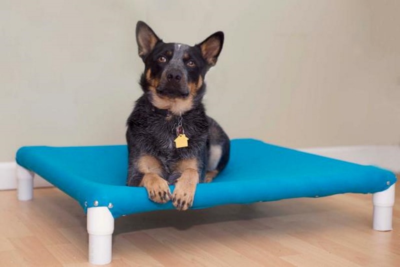 DIY raised dog bed