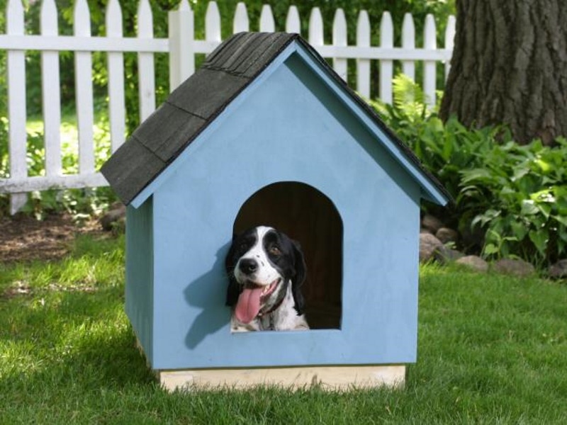 DIY snoopy dog house