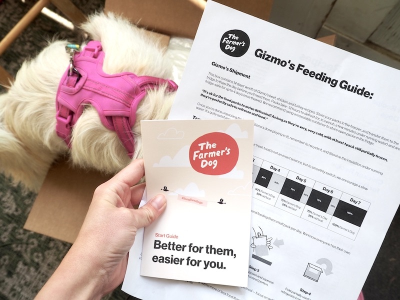 Gizmo's feeding guide The Farmer's Dog