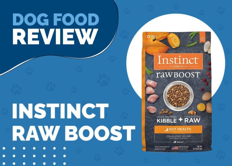 Instinct Raw Boost Dog Food Review 2024 Recalls, Pros & Cons Hepper