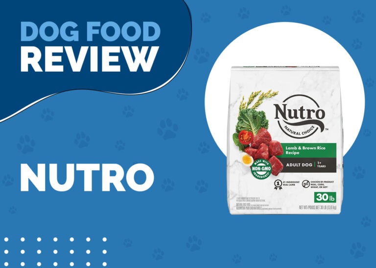 IAMS vs Purina Dog Food Comparison 2024 Hepper