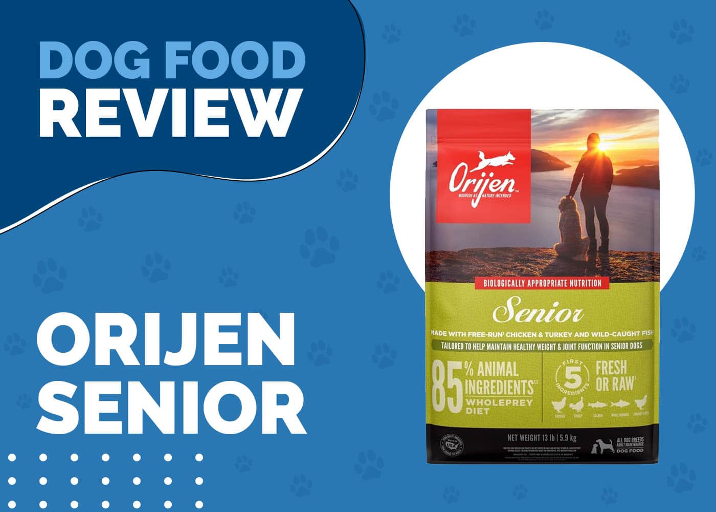 Orijen Senior Dog Food Review