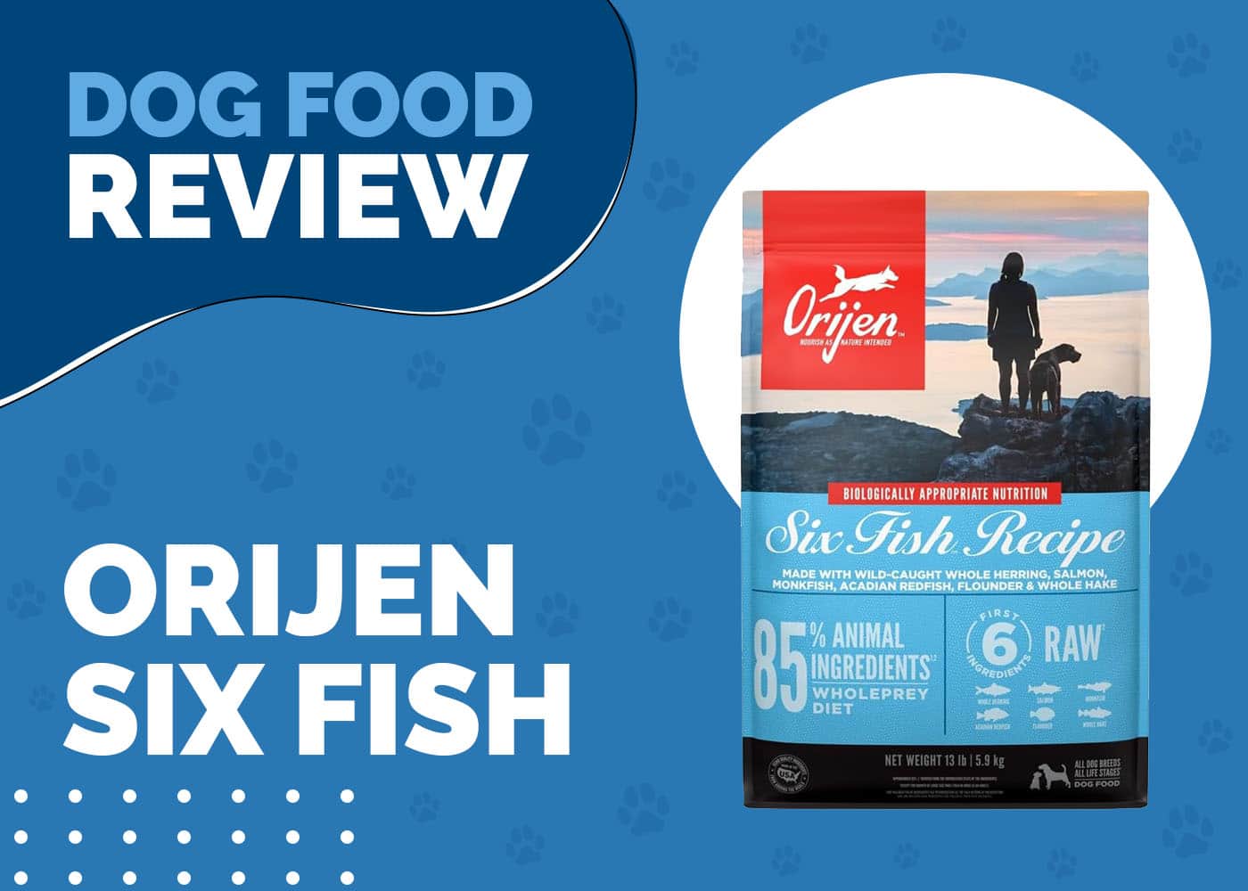 Orijen Six Fish Dog Food Review