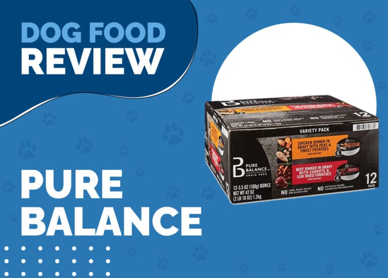 Pure Balance Dog Food Review 2024 Recalls, Pros & Cons Hepper