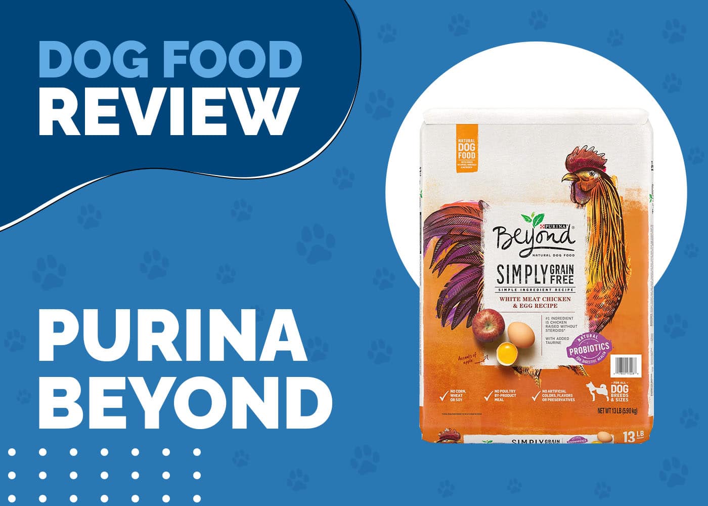 Purina Beyond Dog Food Review