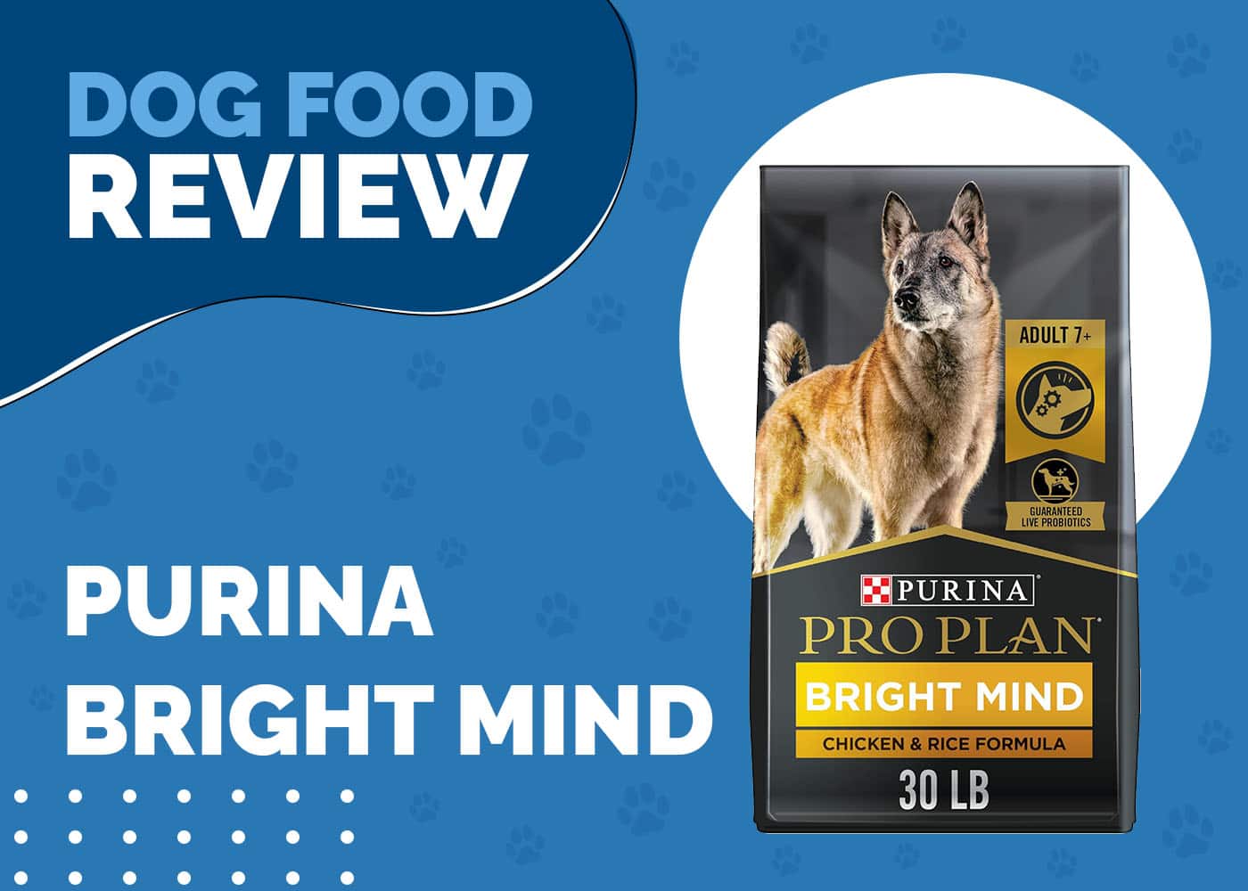 Purina Bright Mind Dog Food Review