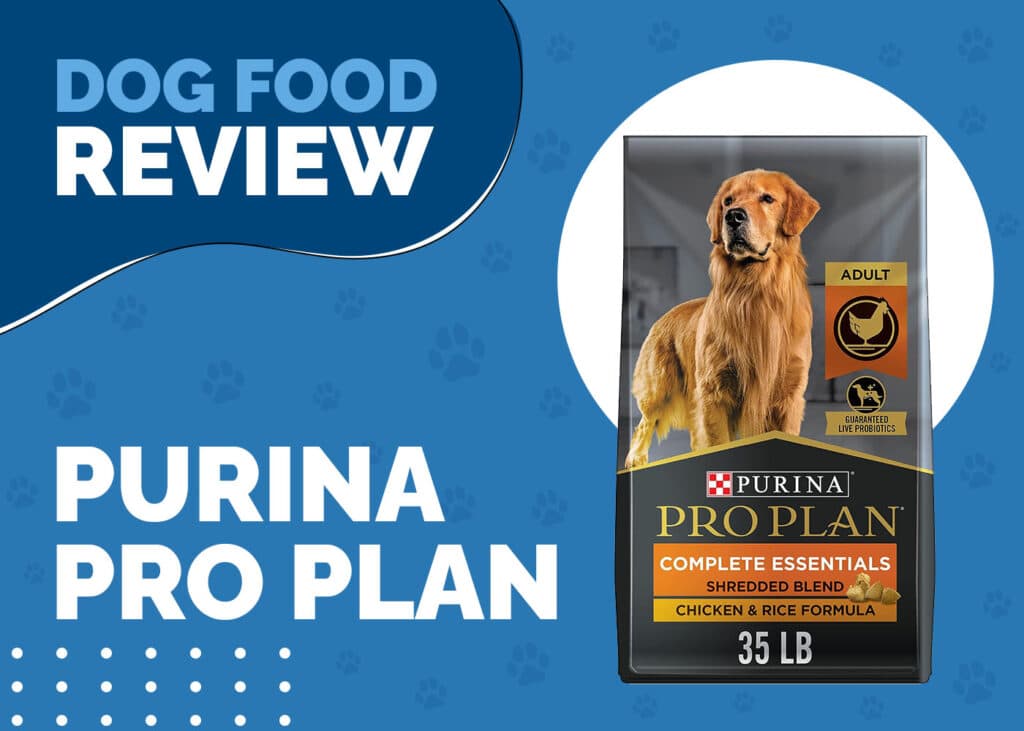 Purina Pro Plan Complete Essentials Dog Food Review (January 2024