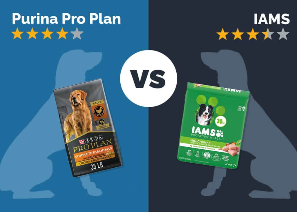 Purina Pro Plan vs IAMS