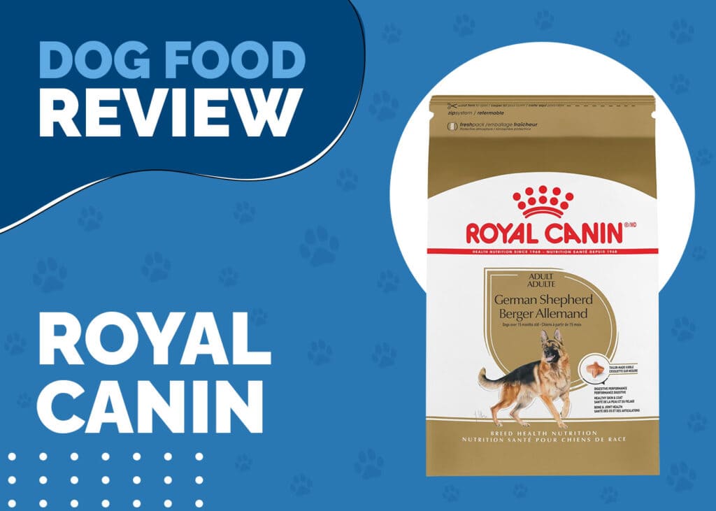 Royal Canin German Shepherd Dog Food Review