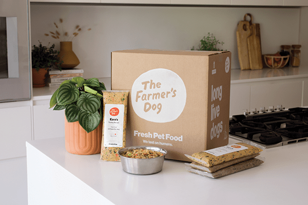 The farmers dog lifestyle shot on counter