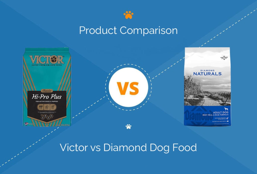Is Victor Dog Food Better Than Diamond