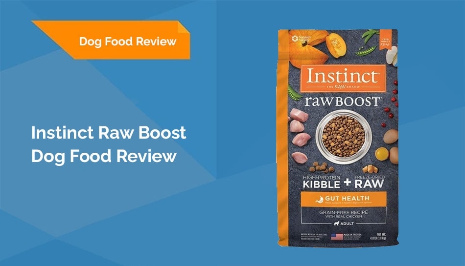 instinct raw boost review