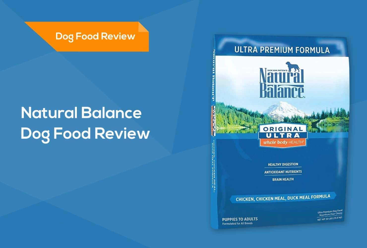 natural balance dog food review