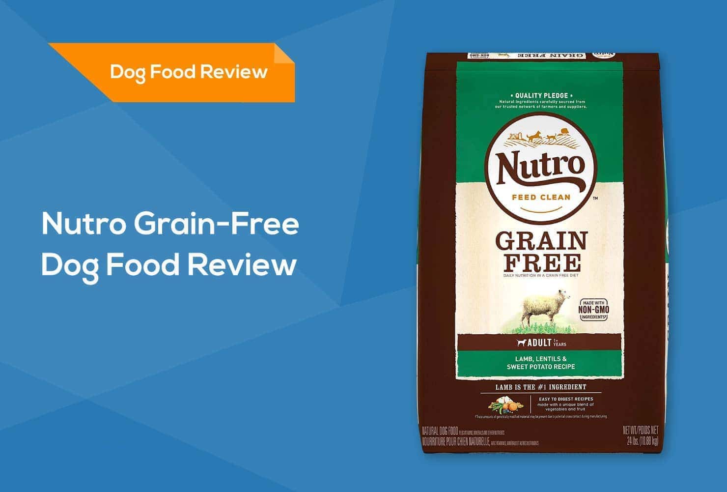 nutro grain free review