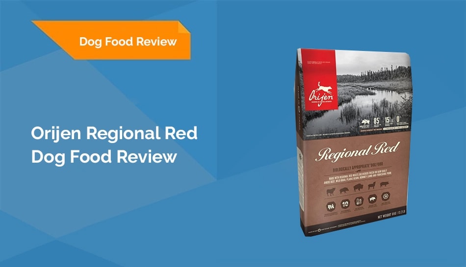 orijen regional red review header